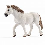 Welsh Pony Mare 