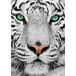 White Siberian Tiger - ENJOY Puzzles