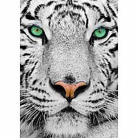 White Siberian Tiger - ENJOY Puzzles 