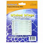 Wicked Wings - 5 Slides
