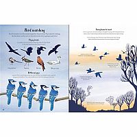 Write-In Nature Activity Book 