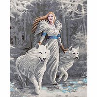 Crystal Art Large Framed Kit - Winter Guardians - Anne Stokes. 