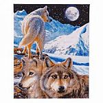 Crystal Art Large Framed Kit - The Sentinel Wolves