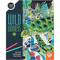 Color By Numbers Wild Wonders: Book 3 