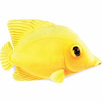 Yellow Tang  