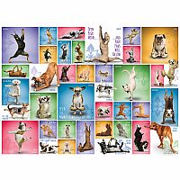 Yoga Dogs - Eurographics.