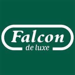 Falcon Deluxe Puzzles